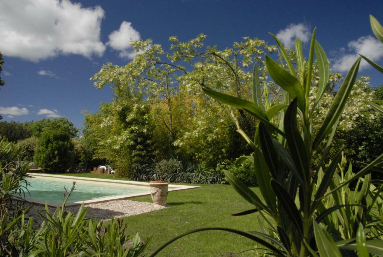 Bed and Breakfast Le Coing Des Vignes Mauressargues Exterior foto